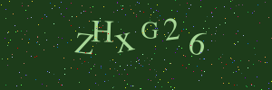 Validation image